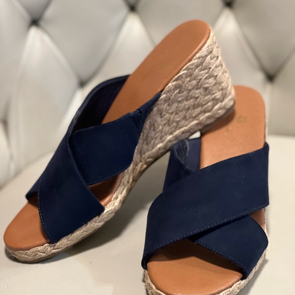 Navy Blue Wedge Sandals